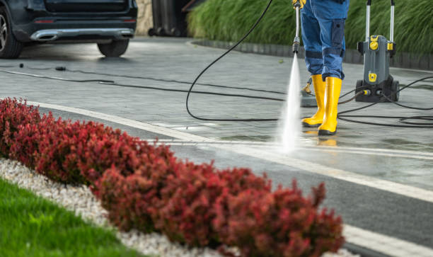 Best Gutter Cleaning  in Fort Dix, NJ